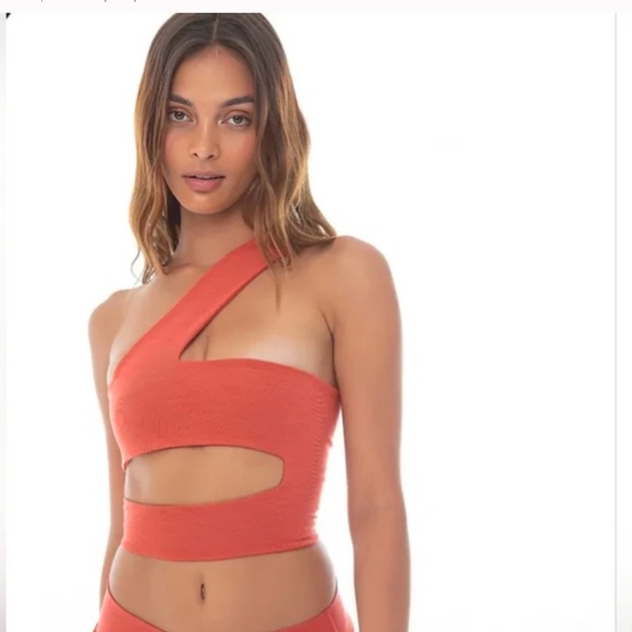 Are You Am I Cut out Top - Picture 1 of 3